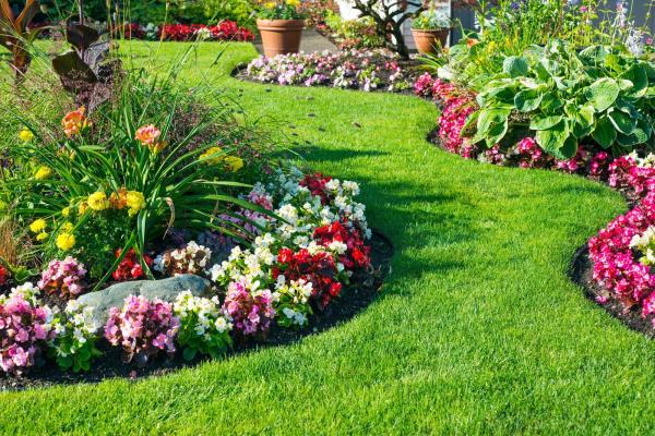 Création et pose de terrasse à Orgères